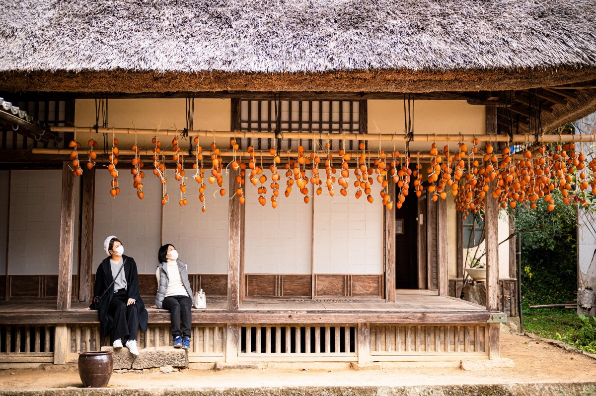 約250年前に建てられた藁葺き屋根の旧庄屋・毛利家屋敷｜南予でしかできない特別な体験と一期一会の旅｜愛媛  旅の特集｜愛媛県の公式観光サイト【いよ観ネット】