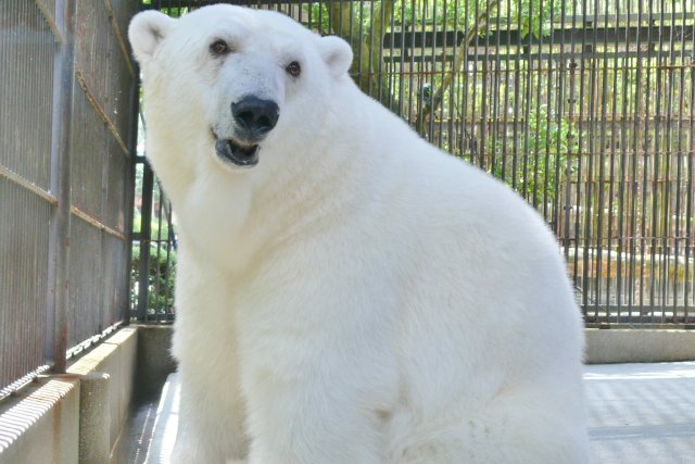 とべ動物園（昼食）