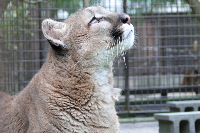 とべ動物園（昼食）