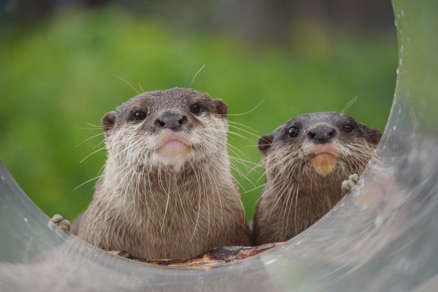 とべ動物園（昼食）