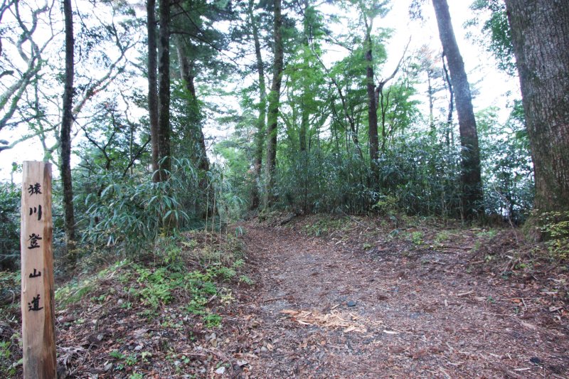 豊かな大自然に包まれた森林浴ができる登山道も整備されている。