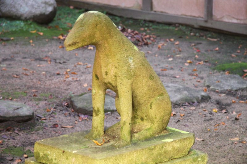 神社内には全国でも大変珍しいとされる、耳を伏せ尻尾をしまい込んだ狛狐がある。