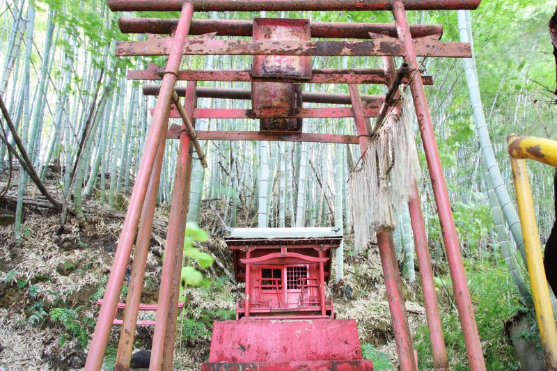 急な坂道と鳥居のトンネルを潜り抜けると、竹藪の中に朱色の小さな祠がひっそりと祀られている。