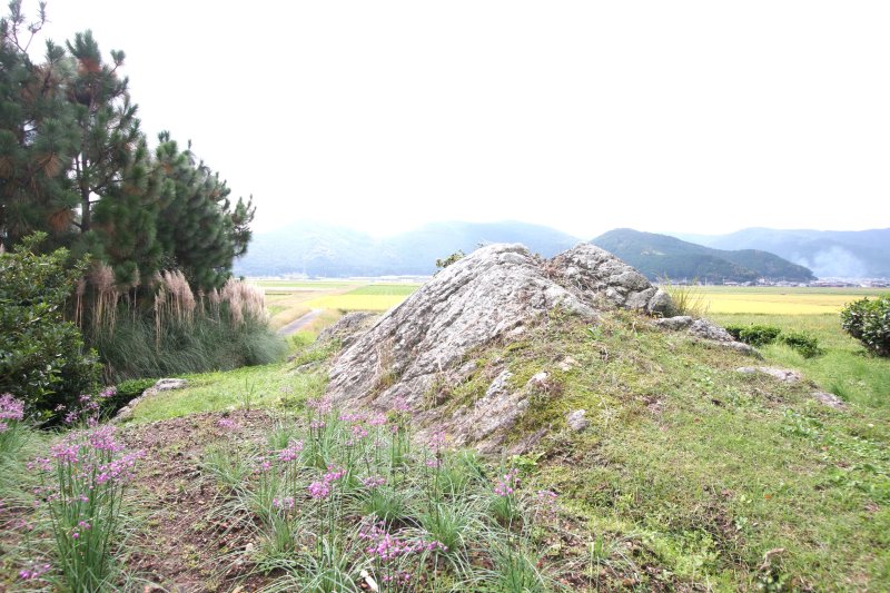 田園風景に突き出た岩盤が立石跡の周囲でも見ることができる。
