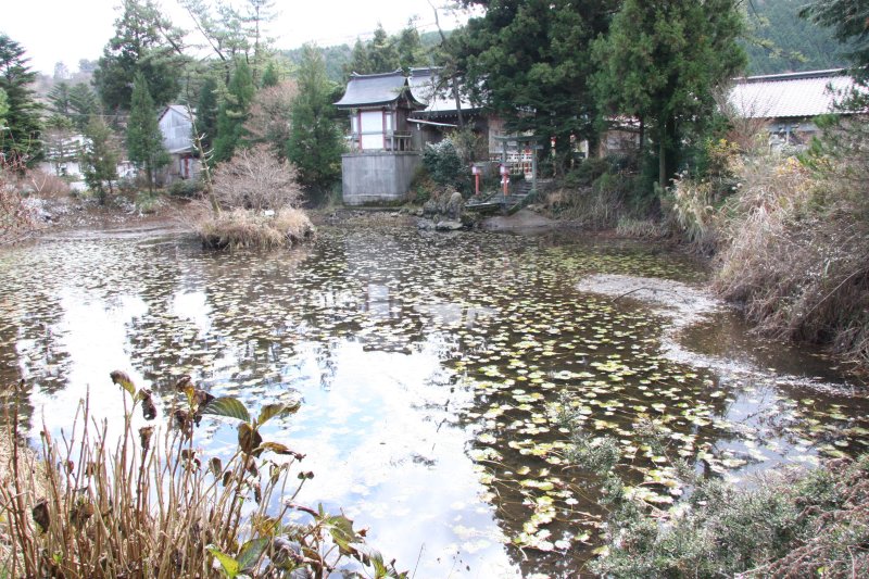 かつて、浮島が原（うきしまがはら）と呼ばれていた地名の由来になったとも伝わる浮島。