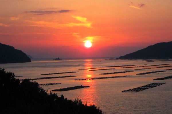 宇和海に沈む夕日は、あたり一面を赤く染める様は時間を忘れて見入ってしまう。