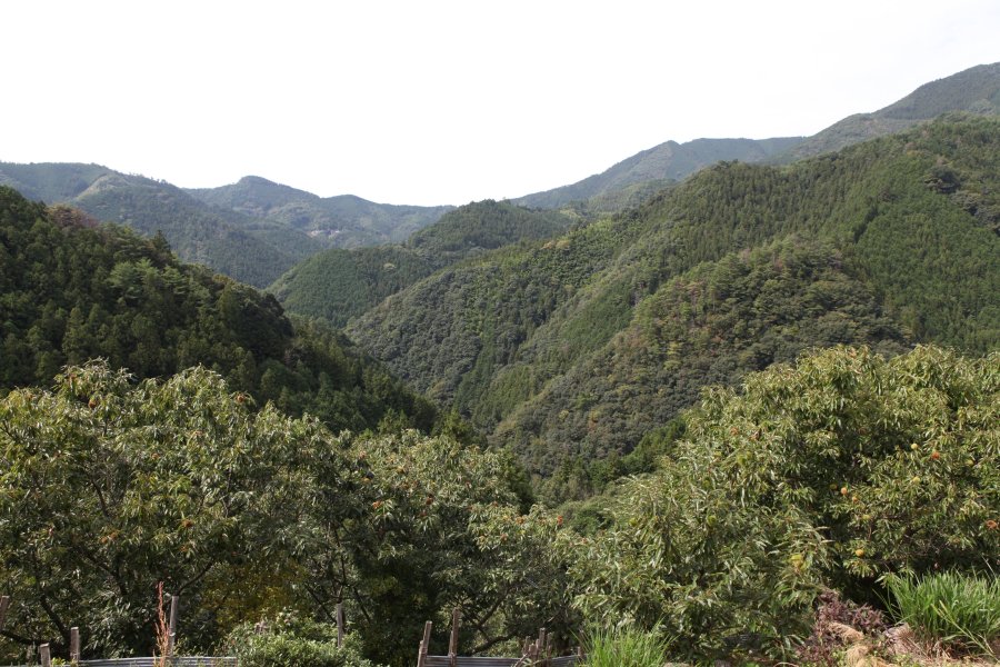 壮大な山々が連なる風景を眺めながら、龍馬も日本の夜明けを夢見たのかもしれない。