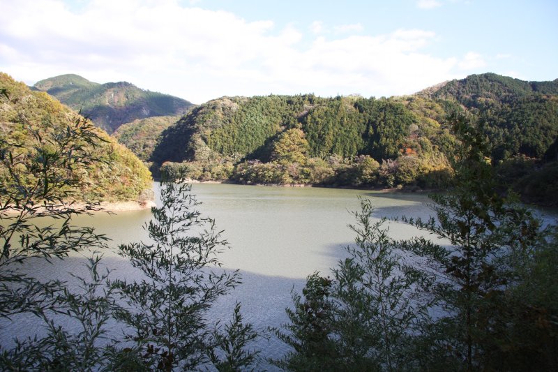 山から流れる清々しい空気を吸い、道路沿いから眺める景観は格別。