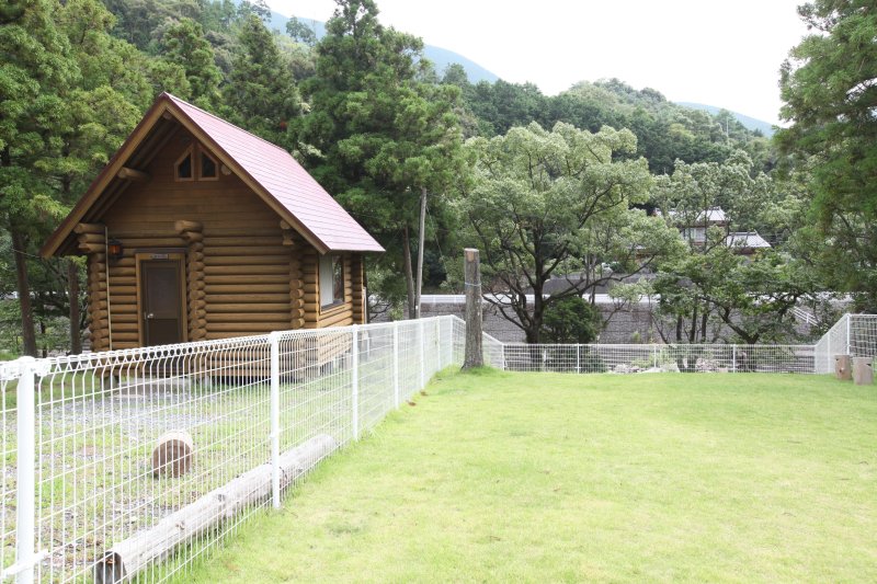 全面フェンスや水飲み場など設備もされていて、愛犬も安心して走り回れるドッグランもある。