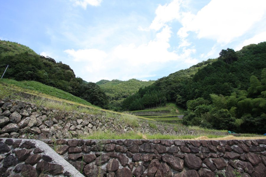 棚田の石積みは、先人が一つ一つ積み上げたものが現在に受け継がれている。