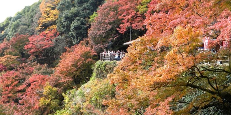 白滝るり姫まつり