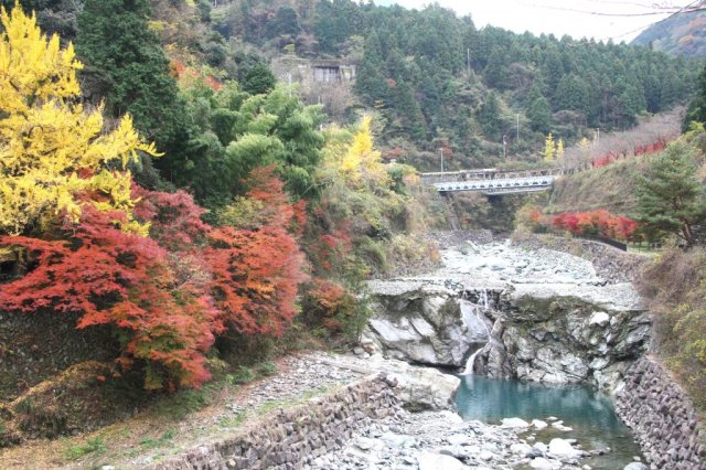 ゆらぎの森紅葉まつり