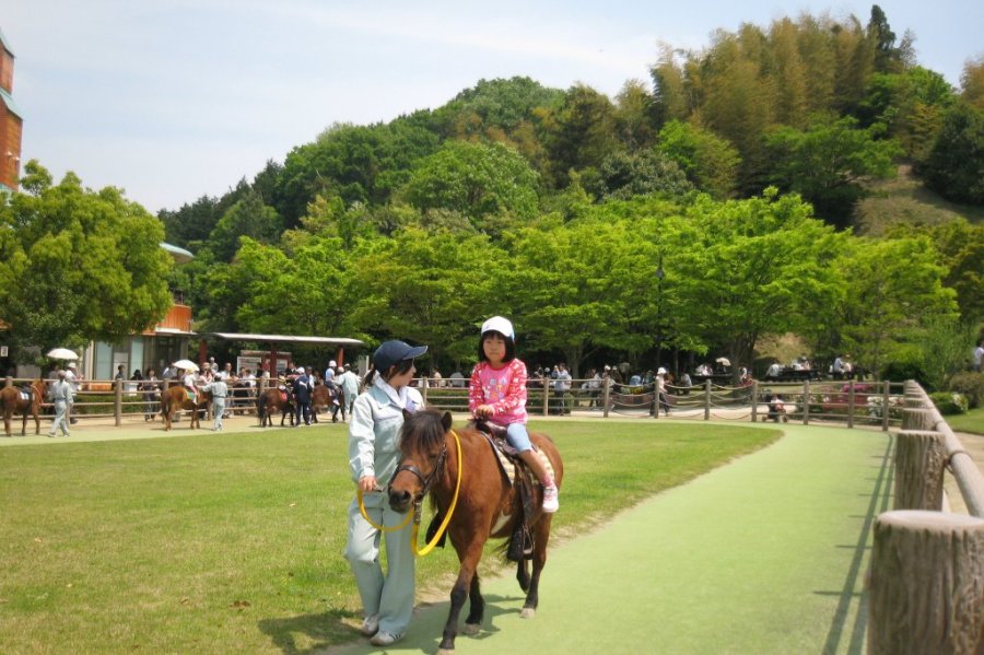 ちびっ子のまうま祭 愛媛のイベントを探す 愛媛県の公式観光サイト いよ観ネット