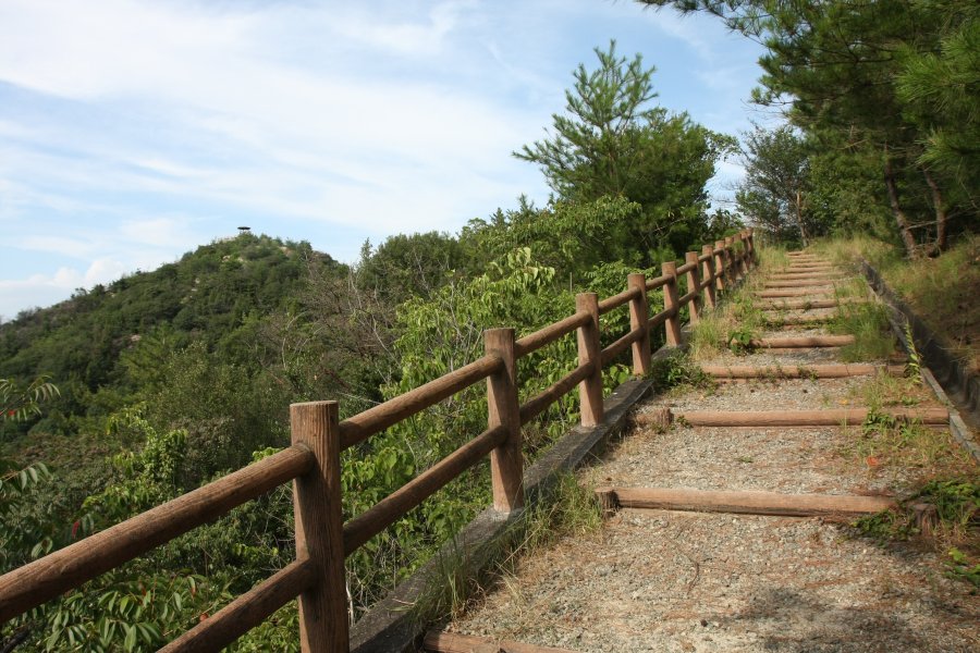 尾根づたいに整備された遊歩道を、春には桜がピンク色に染める。約20分間のんびり歩くと展望台にたどり着く。