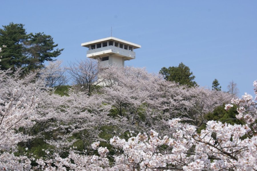 4月上旬頃には桜が咲き、お花見を楽しむ家族連れ等が多い。