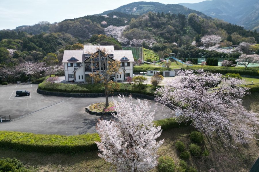3月下旬から4月上旬には桜が咲き、公園内及び八景山展望台周辺では、花見の家族連れ等でにぎわう。