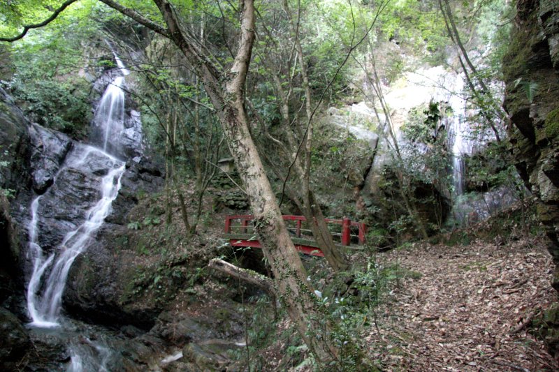 向かって左側が「女滝」で右側が「男滝」。二つの滝を見ることができるので、珍しい景観を楽しめる。