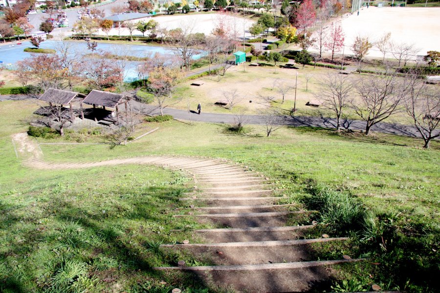 見晴らし台からは公園内を一望することができ、園内の緑豊かな景観に心が和む。