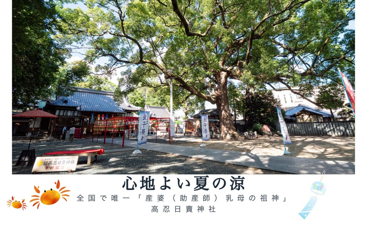 【愛媛県伊予郡】全国で唯一の神を祀る神社