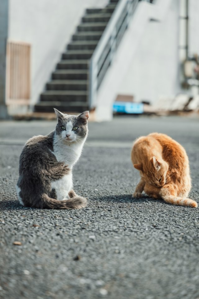 ライター紹介