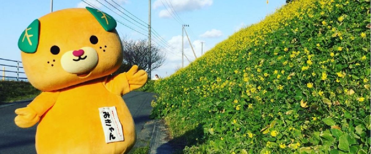 愛媛県イメージアップキャラクター みきゃん 愛媛といえば やっぱり みかん 愛媛 旅の特集 愛媛県の公式観光サイト いよ観ネット