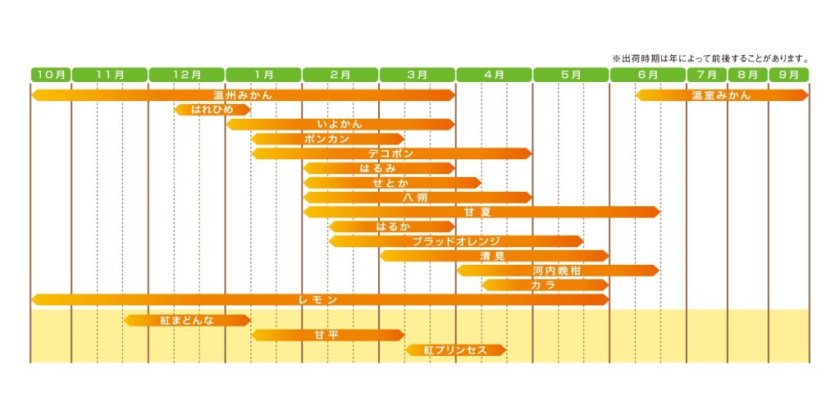 愛媛のみかんは種類いろいろ 愛媛といえば やっぱり みかん 愛媛 旅の特集 愛媛県の公式観光サイト いよ観ネット