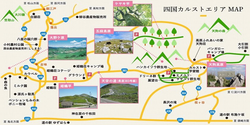 四国カルストドライブルート 絶景ツーリング ドライブ 四国カルスト 愛媛 旅の特集 愛媛県の公式観光サイト いよ観ネット