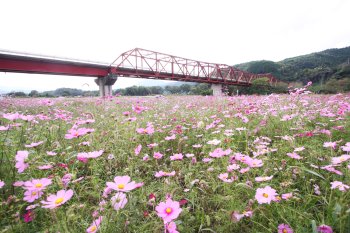 五郎の赤橋