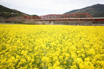 五郎の赤橋